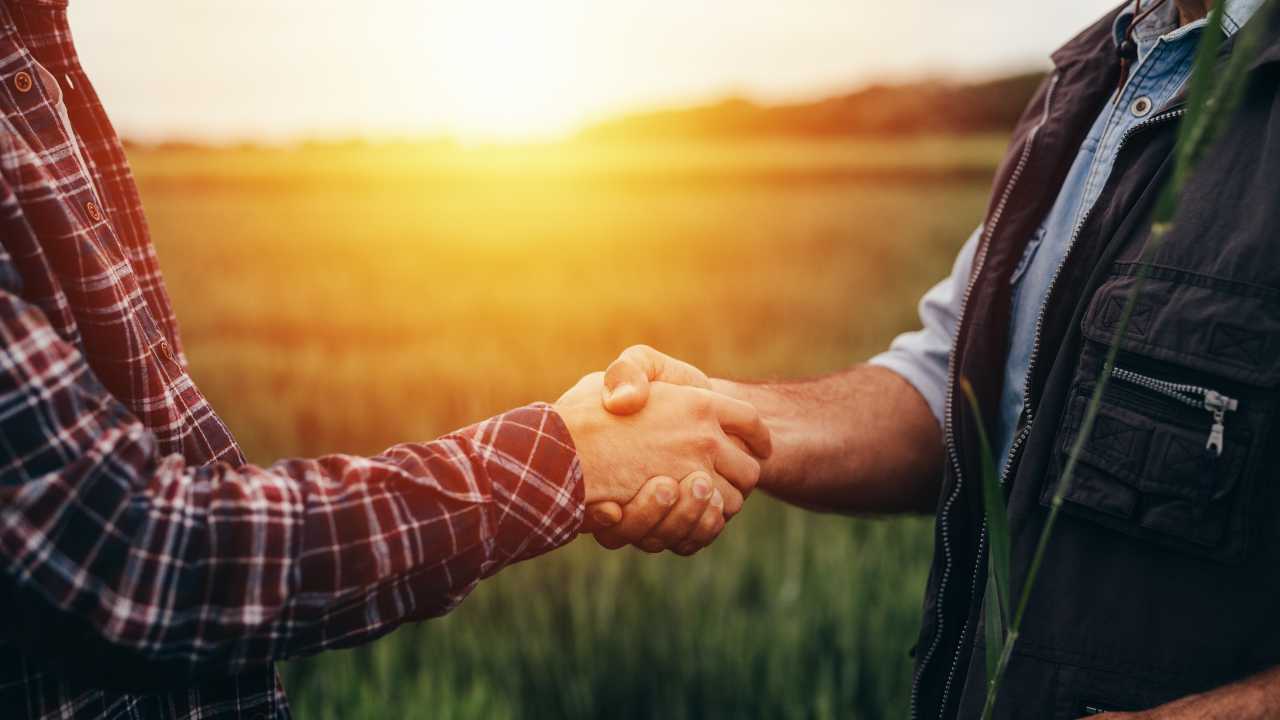 hiring advice from veterans image for hiring advice from veterans